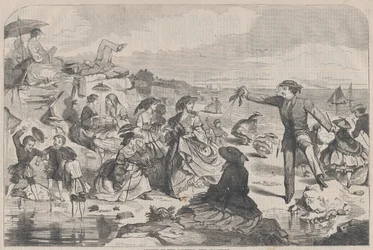 Augusti på landet - The Sea-Shore Harper