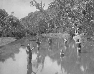 Australiska aboriginer som spjuter fisk, 1800-talet