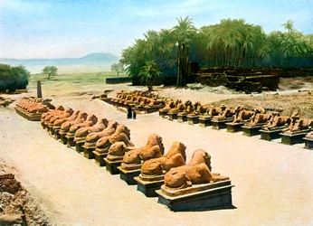 Avenyn med ramhövdade sfinxer, tempel Amun-Re, Karnak, Luxor, Egypten, 1900-talet