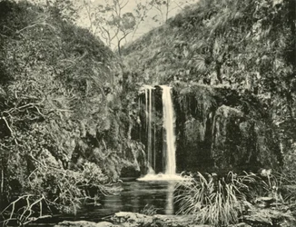 Back Creek Falls, Buchan River, Victoria, 1901.