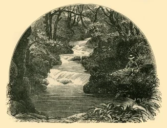 Bagworthy Waterslide, 1898.