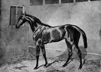 Beadsman, 1855-1872, 1911