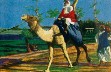 Beduin rider på en kamel, Egypten, c1928.
