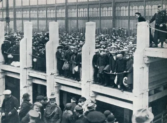 Belgiska flyktingar i hamnen i Oostende som väntade på en båt för att ta dem till England, 1914.
