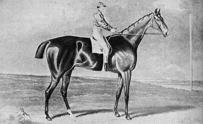 Blacklock, 1814-1831, 1911