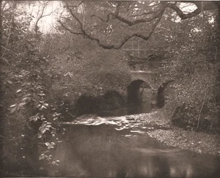 Bäck och bro i New Forest, Hampshire, 1894.