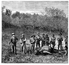 Buffeljägare i Transvaal, Sydafrika, c1890