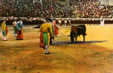 Tjurfäktning, 1900-talet