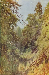 Burmesisk djungel, 1924