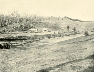 Bush Workmans Home, Gippsland, Victoria, 1901.