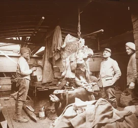 Slaktare på en pråm, Somme, norra Frankrike, c1914-c1918