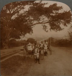 Hytter ritade av infödda på en residensväg, Durban, S. Afrika, c1900
