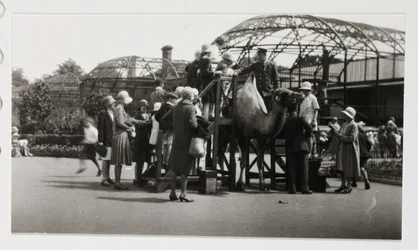 Kamelfärd, c 1930