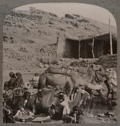 Kameltåg från Jerash, vattning vid Elishas fontän, c1900