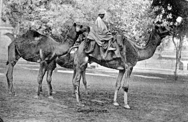 Campbellpore, Pakistan, 1900-talet