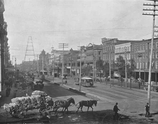 Canal Street, New Orleans, Louisiana, USA, c1900.
