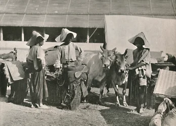 Karavanscen med Shans i Bhamo, 1900.