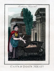 Cats and Dogs Meat!, Bethlem Hospital, London, 1805