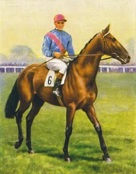 Cave Man, Jockey: C. Richards, 1939