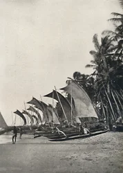 Ceylonesiska utriggar havsfiskebåtar, 1926