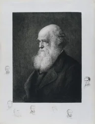 Charles Darwin, engelsk naturforskare, ca 1860-talet