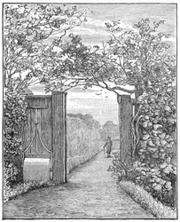 Charles Darwin i sanden promenad på Down House, c1870 1887