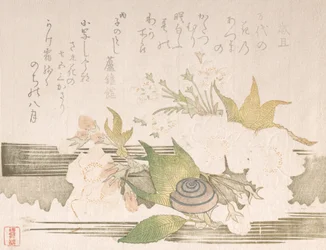 Körsbärsblommor och en snigel, 1816.