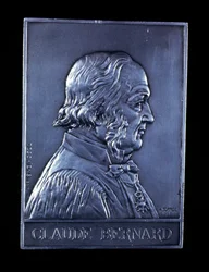 Claude Bernard, fransk fysiolog från 1800-talet, 1913