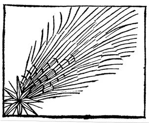Komet av 684 Halley, 1493