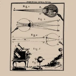 Jämförande skildring av det mänskliga ögat och camera obscura, 1700-talet.