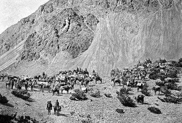 Konvoj av muleterare vid foten av Cordillera, Sydamerika, 1895