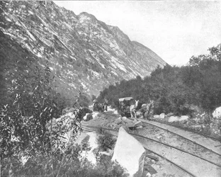 Cottonwood Canyon, Utah, USA, c1900.