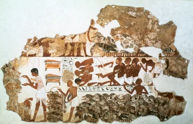 Räkna gässen: fragment av väggmålning från Nebamuns grav, Thebe, Egypten, c1350 f.Kr.