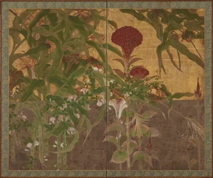 Coxcombs, majs och morgonhärligheter, Momoyama-perioden, 1600-talet.