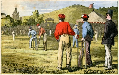 Cricket, 1800-talet