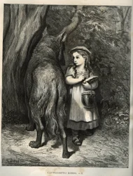 När den korsar skogen möter den lilla rödluvan vargen. Gravyr av Gustave Dore (1832-1883) från "" Les contes"" av Charles Perrault (1628-1703)
