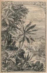 Crusoe upptäcker getter på ön, c1870