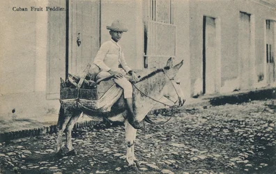 Kubansk frukthandlare, c1908