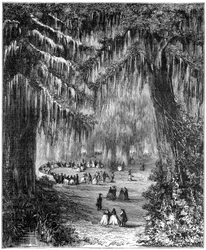 Cypresslund i Chapultepec, Mexico City, 1877