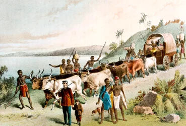 David Livingstone, skotsk missionär och afrikansk upptäcktsresande, 1849 c1878