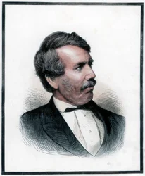 David Livingstone, skotsk missionär och afrikansk upptäcktsresande, 1874