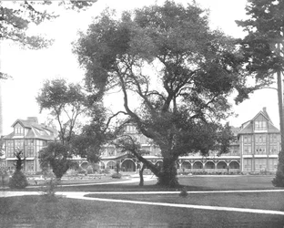 Del Monte, Monterey, Kalifornien, USA, c1900.