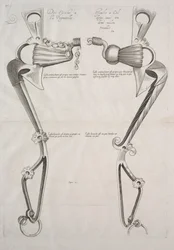 Diagram för hästbett, 1700-tal.