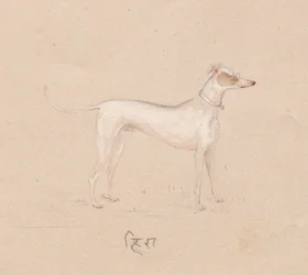 Hund, 1800-tal.