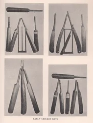 Tidiga cricketfladdermöss, 1912