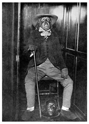 Avbildning av Jeremy Bentham med hans balsamerade huvud, University College, London, 1956