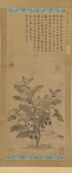 Aubergine, Mingdynastin, 1368-1644.
