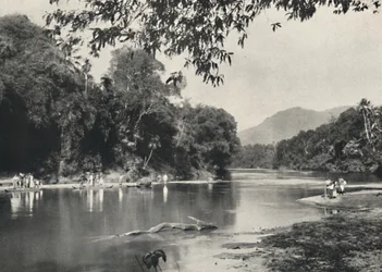 Elefantbadplats på Mahavaliganga nära Kandy, 1926