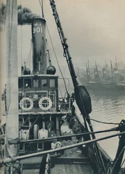 Fiskefartyget Saurian, 1937, kommer in i Grimsby Docks i slutet av en Nordsjöresa.