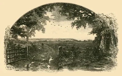 Infarten till Sedgemoor från Chedzoy, 1898.